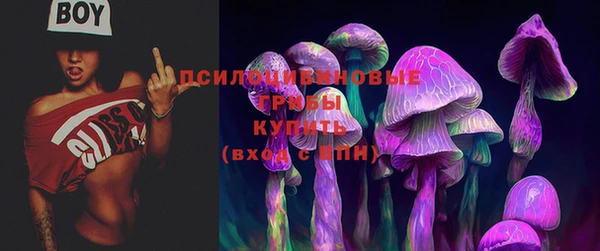 спайс Михайловск