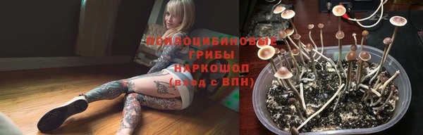 соль курить ск Михайлов